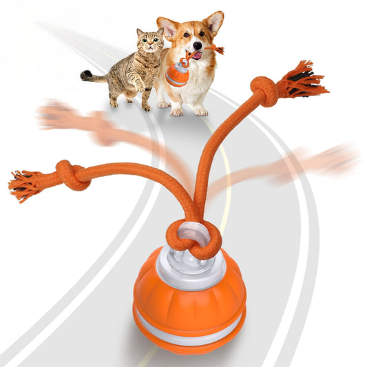 Rope Runner Interactive Squeaky Rechargeable Small Dog Ball & Rope Toy