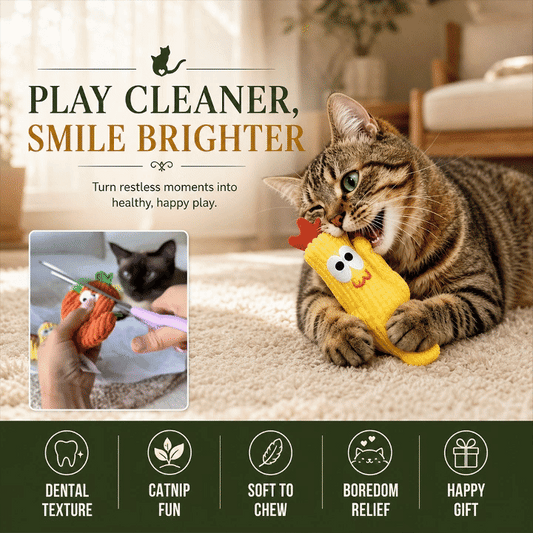Cactus Catnip Cat Toy Collection