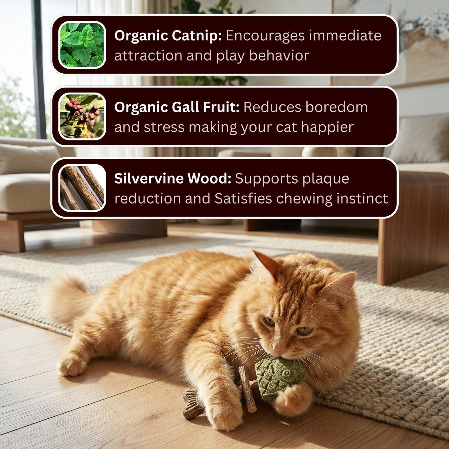 Catnip & Silvervine Chew-5 PCS