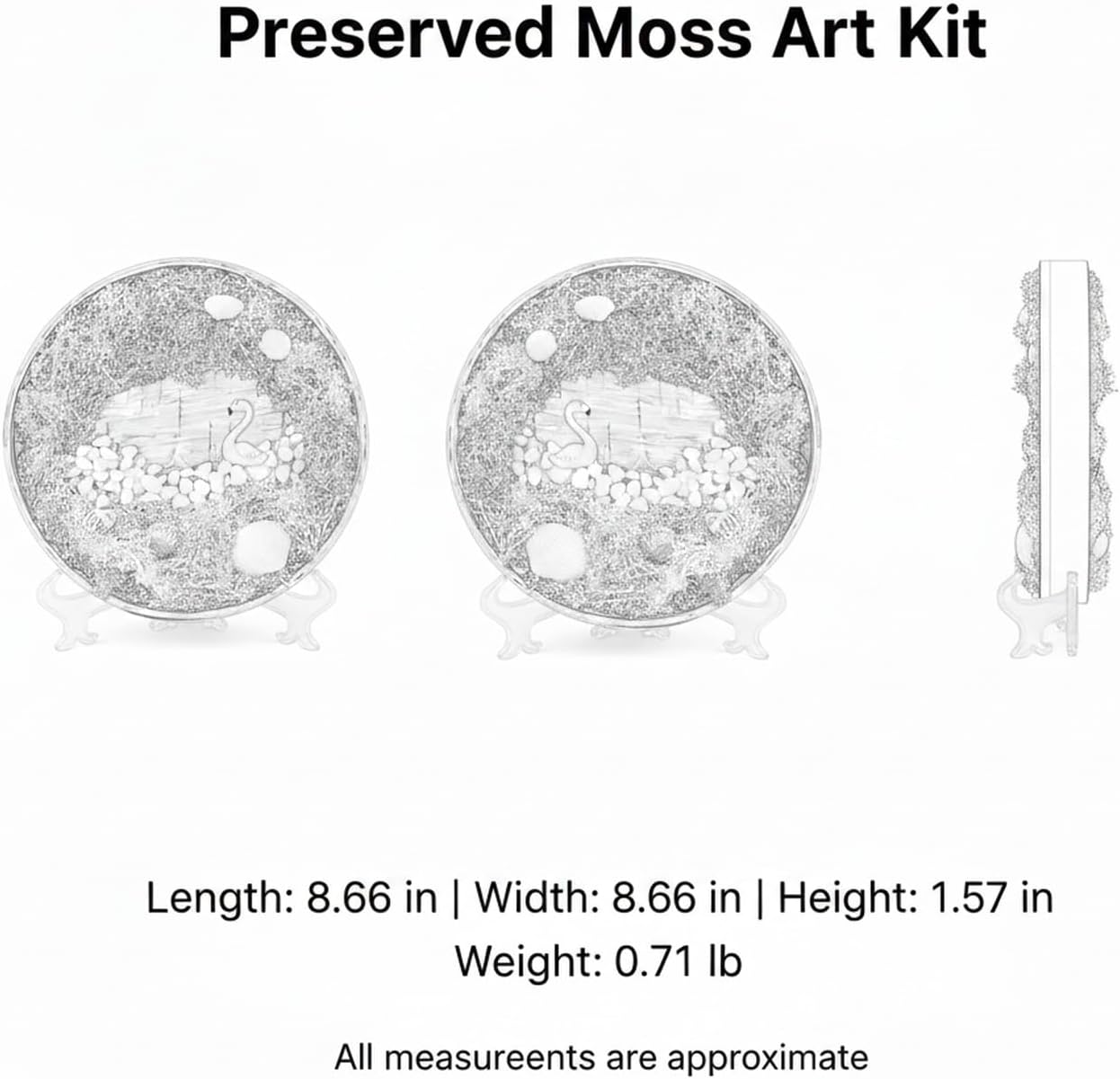 DIY Preserved Moss Art Kit with Bamboo Frame