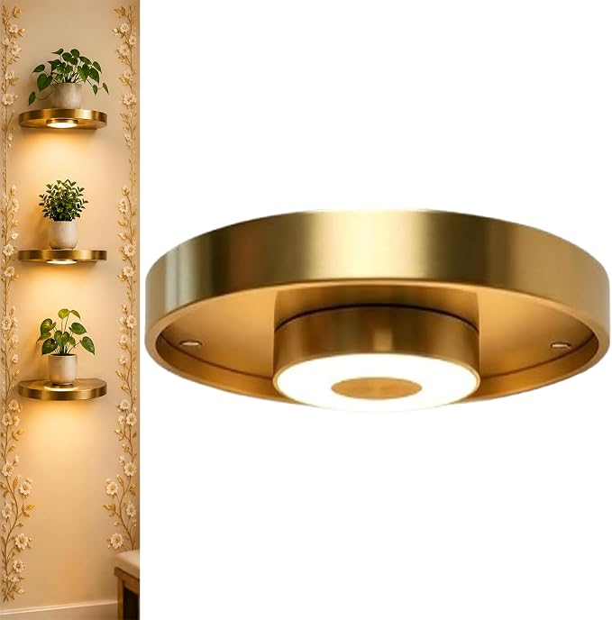 Wall-Mounted LED Floating Shelf