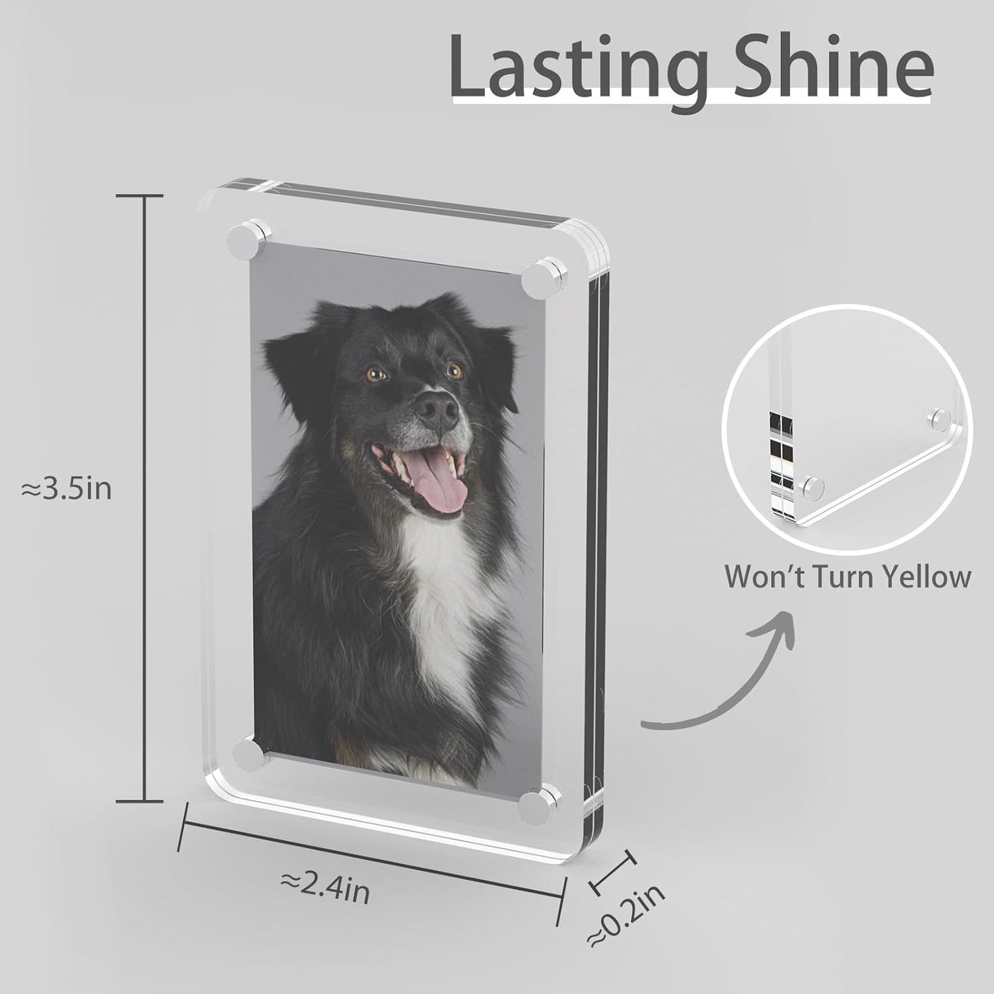 Magnetic Photo Clip 4 Pcs