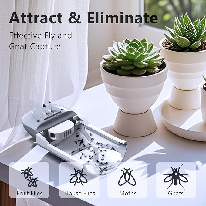 Expert Insect Trap with 5 Refills