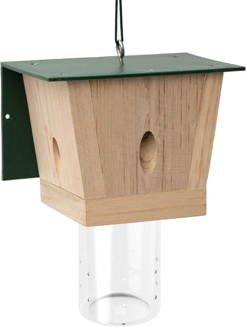 Carpenter Bee Trap for Outside