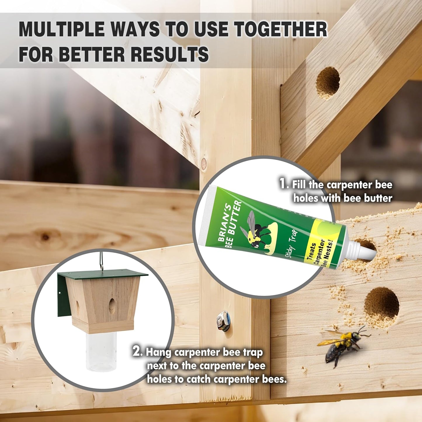 Carpenter Bee Trap for Outside