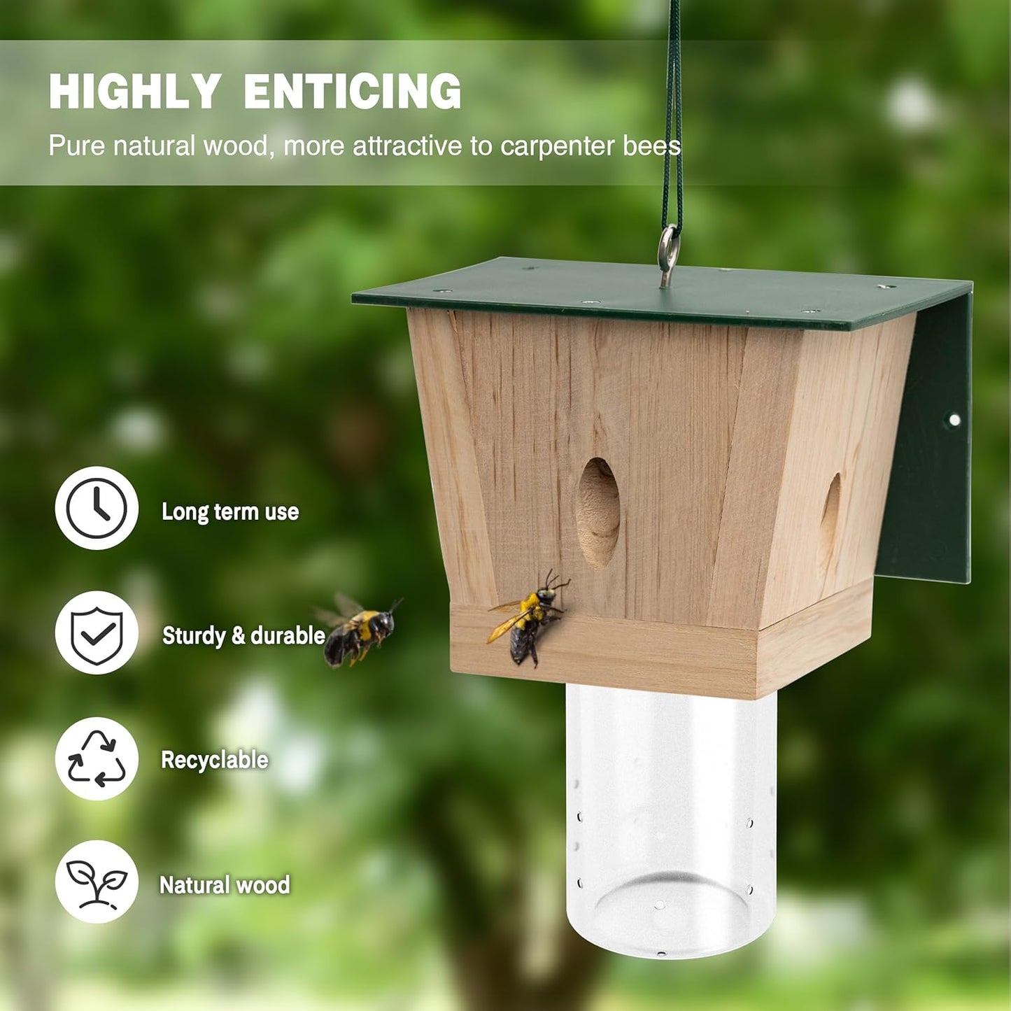Carpenter Bee Trap for Outside