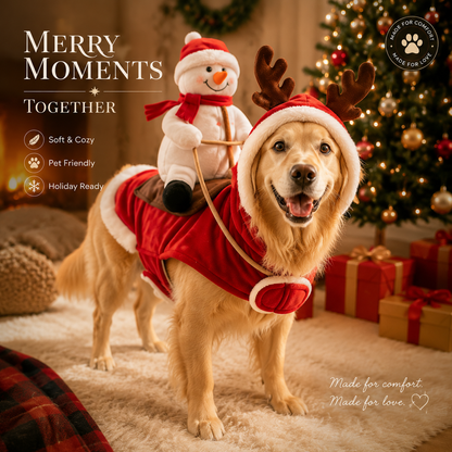 Christmas Rider Costume for Dogs