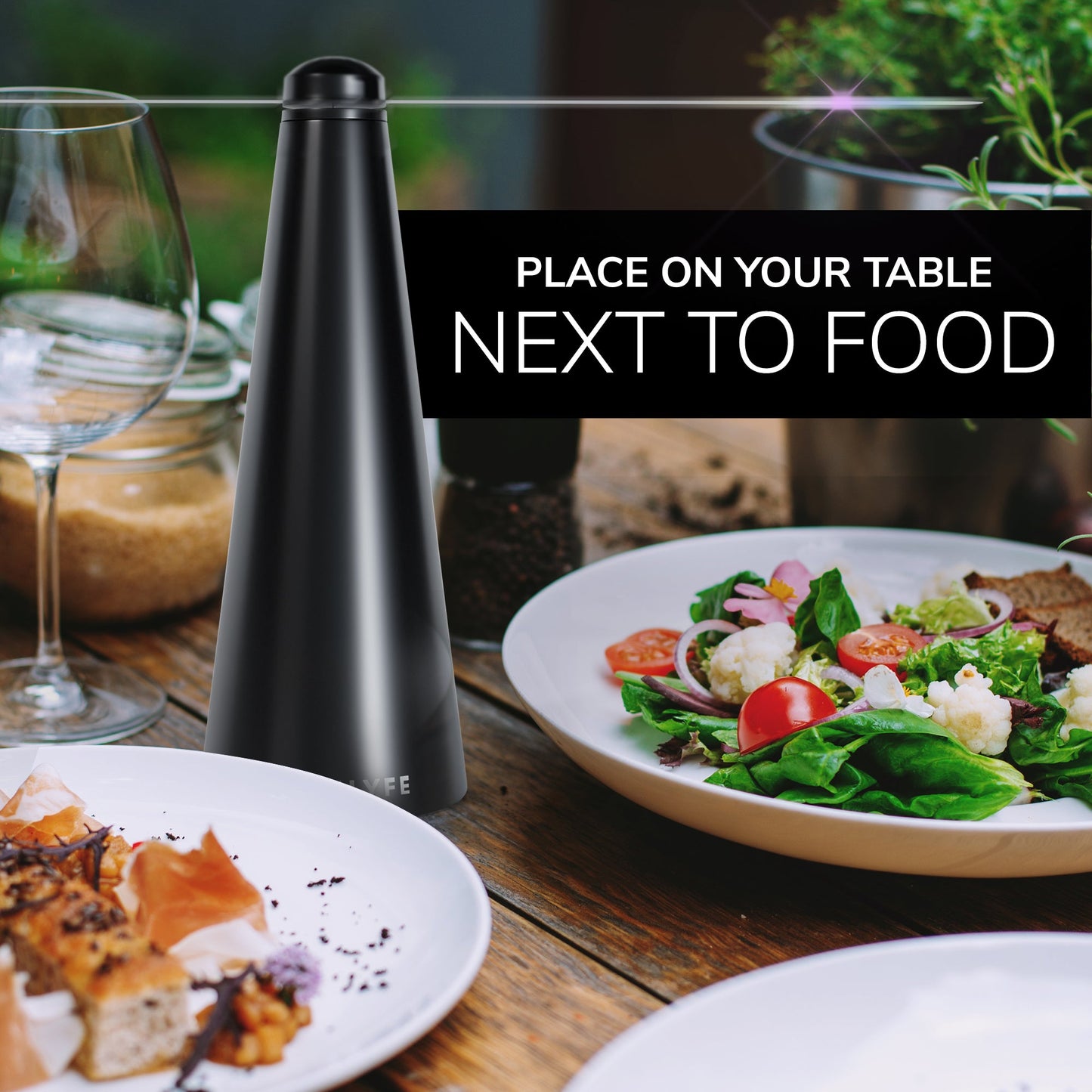 Portable Fly Fan for Outdoor Dining