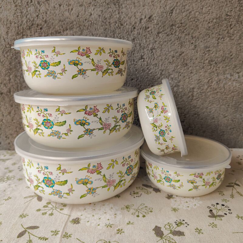 5-Piece Enamel Mixing Bowl Set with Lids