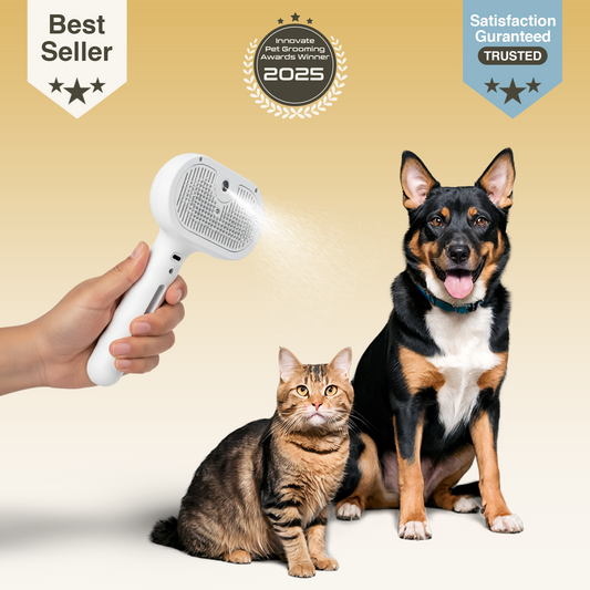 Vexroan Hydra Mist Self-Cleaning Brush