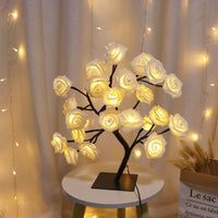 24Leds white