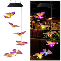 Purple & Yellow Butterfly