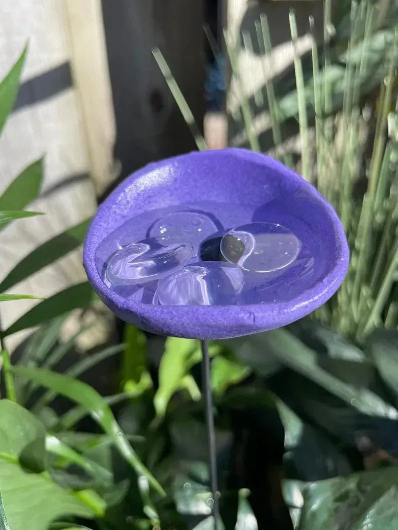 🔥Flash Sale: 49% OFF Sitewide! 🐝Bee Watering Station. 🦋Butterfly Puddler. Hummingbird Drinking Cups