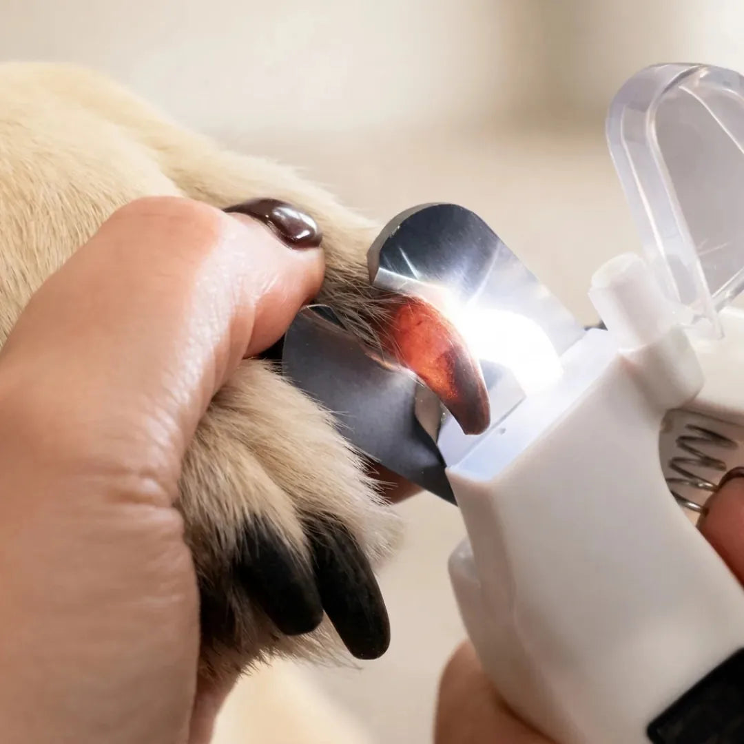 2-in-1 Smart Pet Nail Clipper & Grinder - image 2