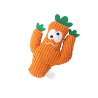 Orange Carrot Cactus