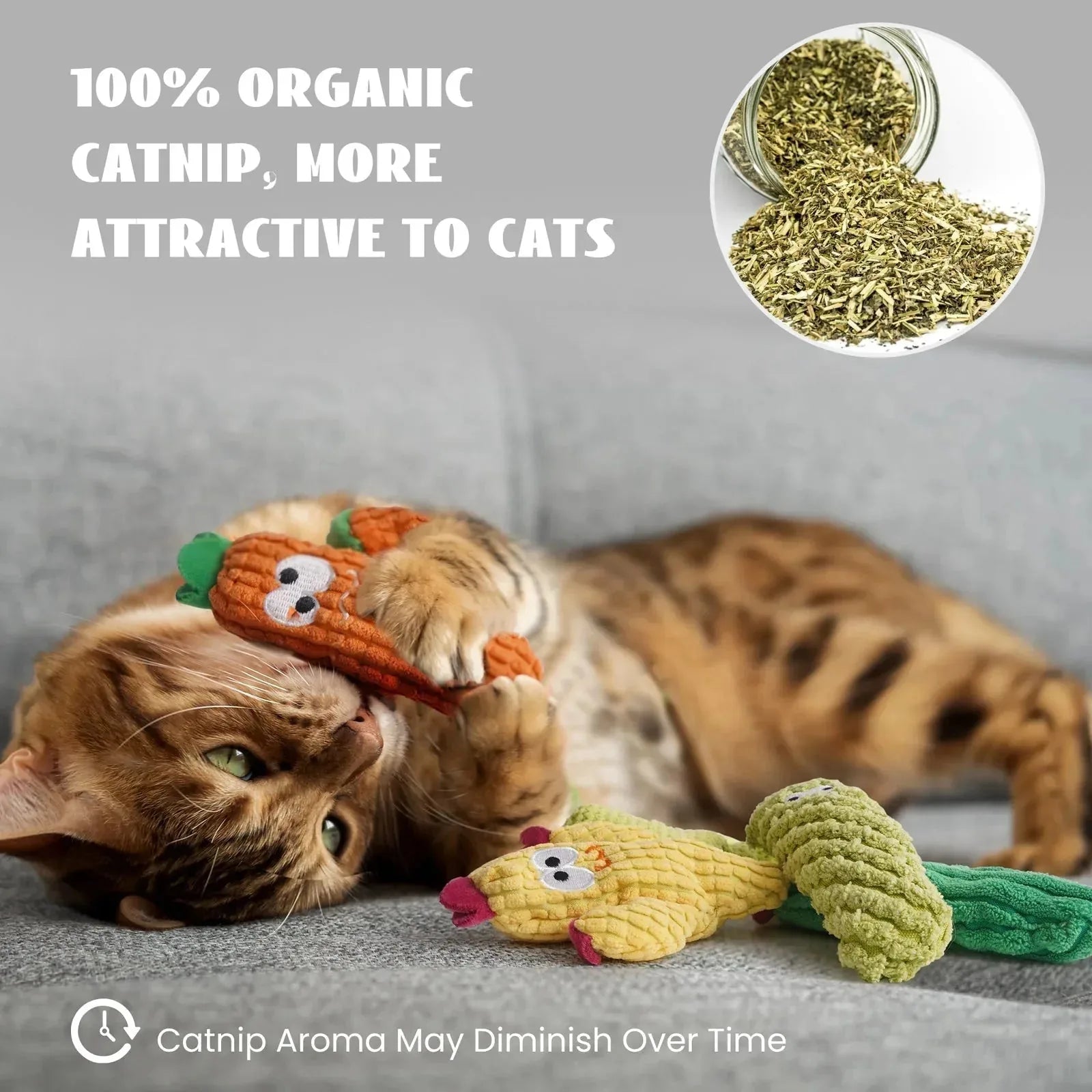 Cactus Catnip Cat Toy Collection - image 5