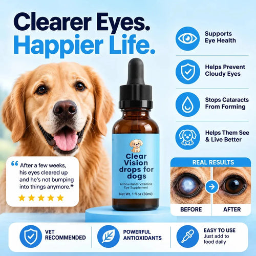 Daily Eye Support Drops for Dogs - image 1