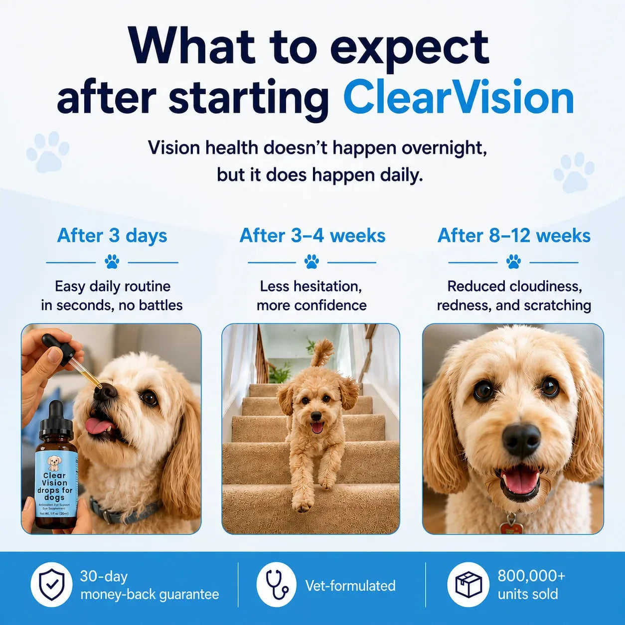Daily Eye Support Drops for Dogs - image 4