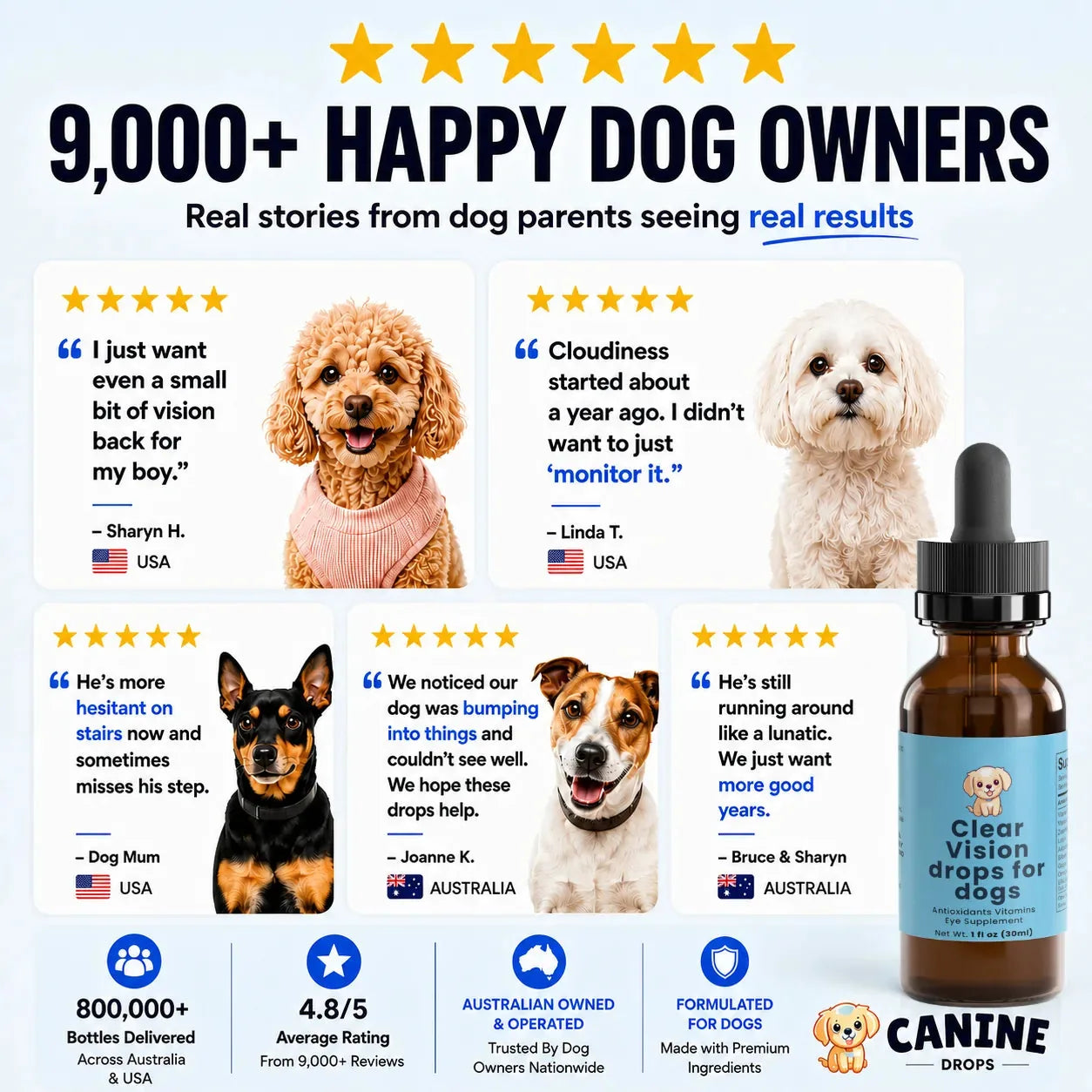 Daily Eye Support Drops for Dogs - image 5