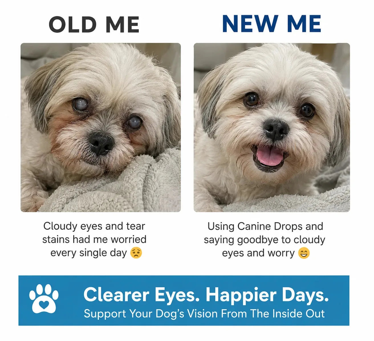 Daily Eye Support Drops for Dogs - image 6