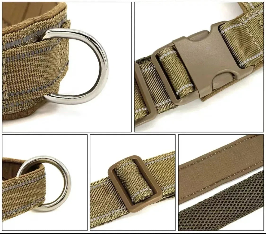 Chest Harness & Leash Set for Large Dogs