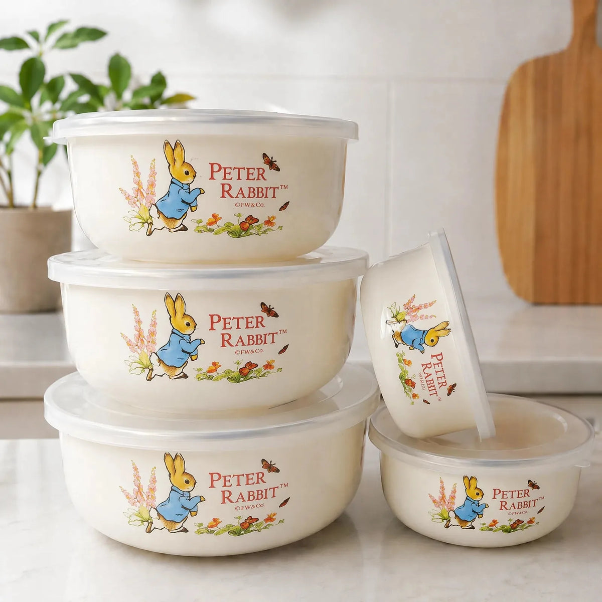 5-Piece Enamel Mixing Bowl Set with Lids