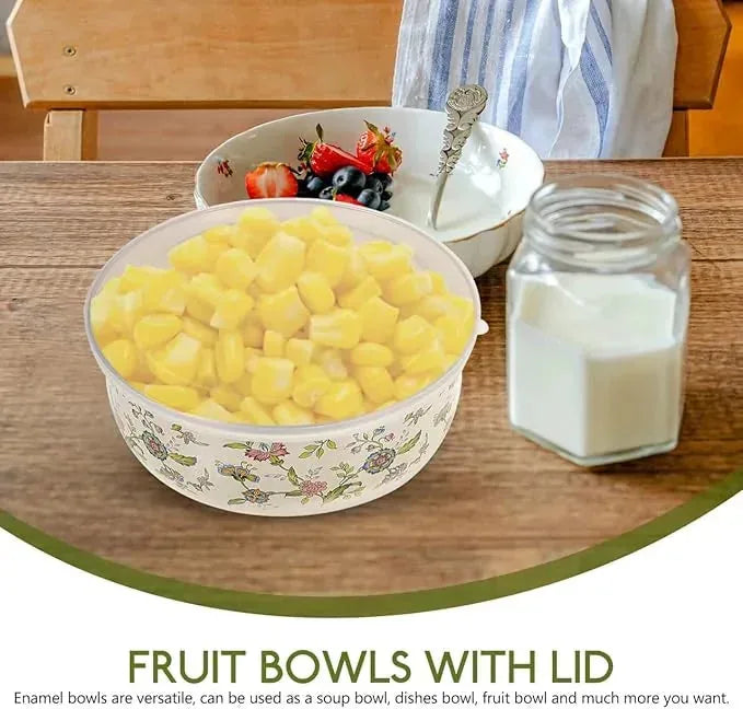 5-Piece Enamel Mixing Bowl Set with Lids