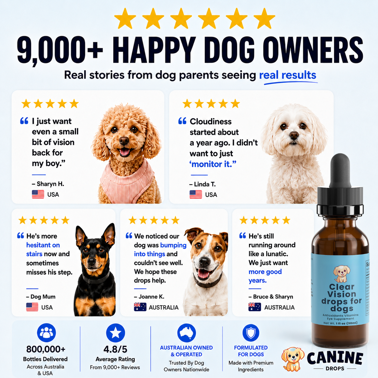 Daily Eye Support Drops for Dogs - image 5