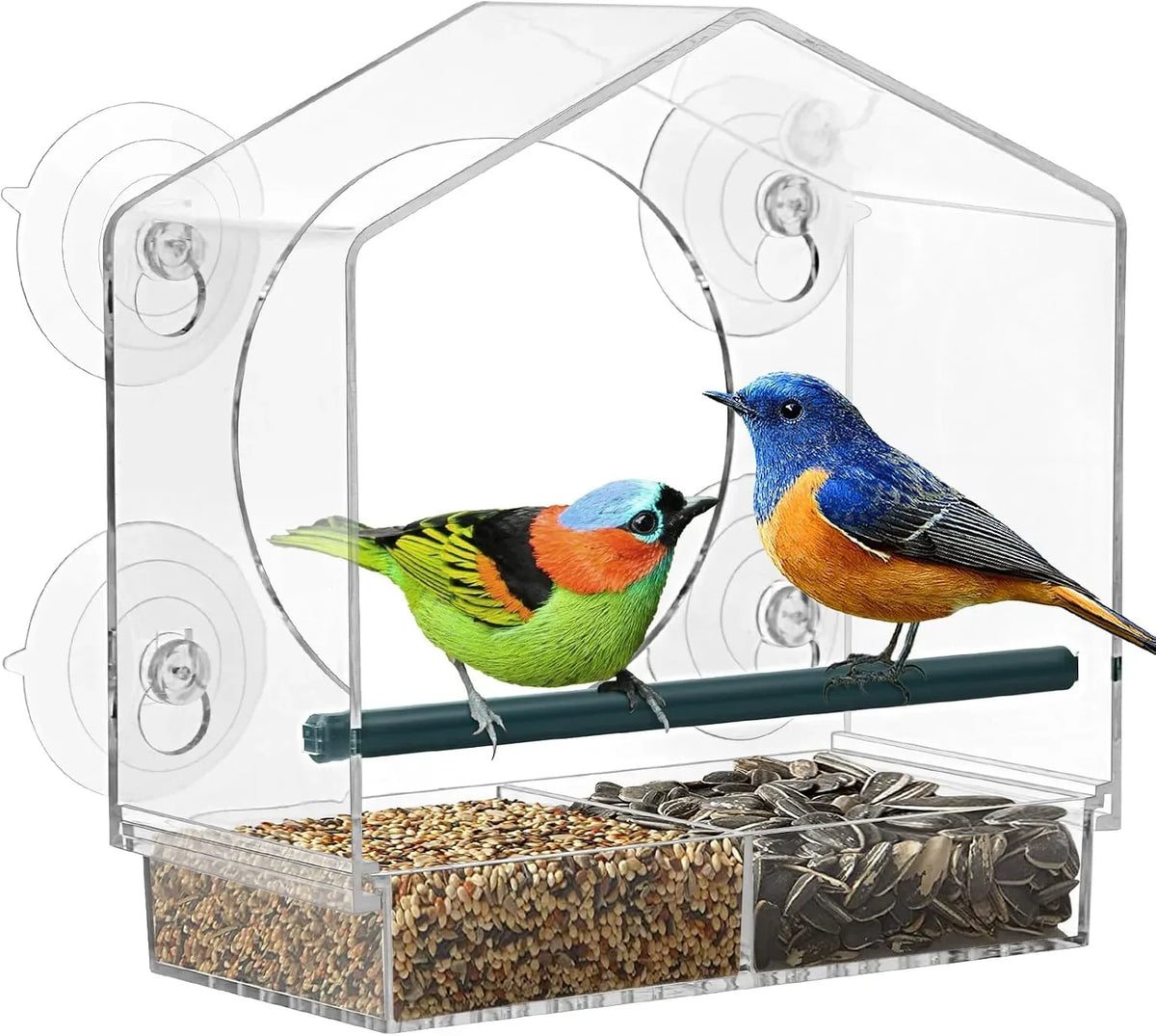 Clear Window Bird Feeder for Close-Up Backyard Watching — view 1