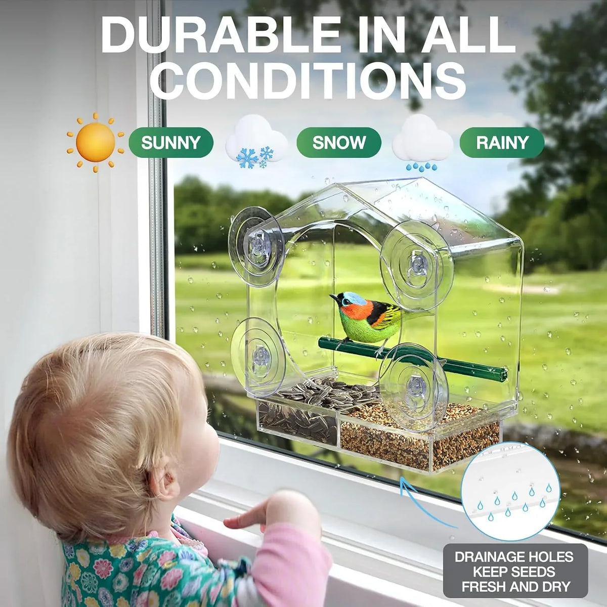 Clear Window Bird Feeder for Close-Up Backyard Watching — view 4