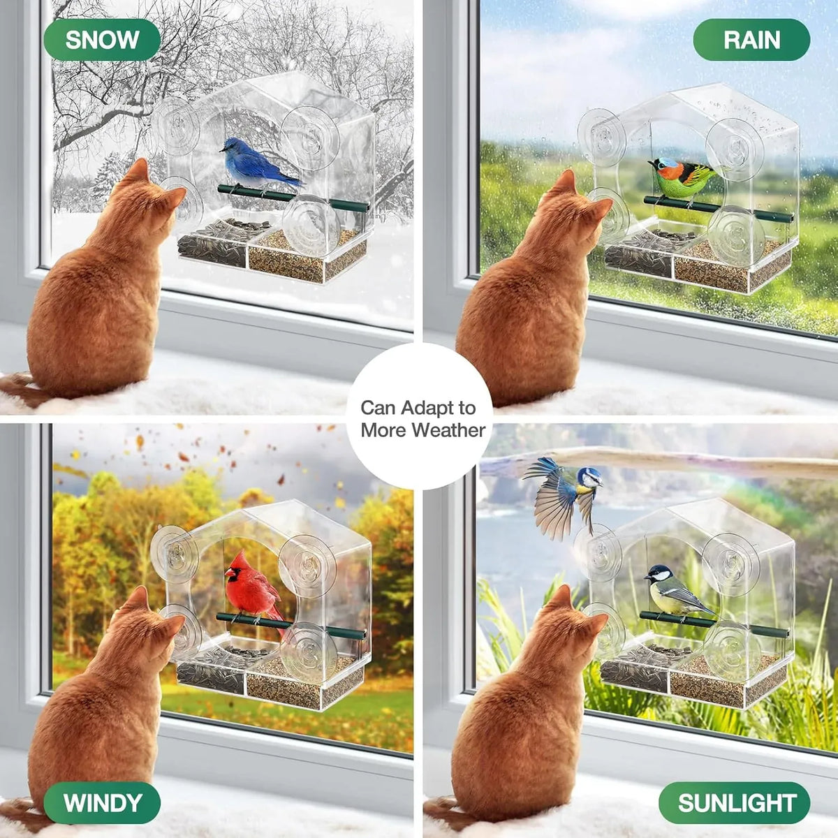 Clear Window Bird Feeder for Close-Up Backyard Watching — view 6